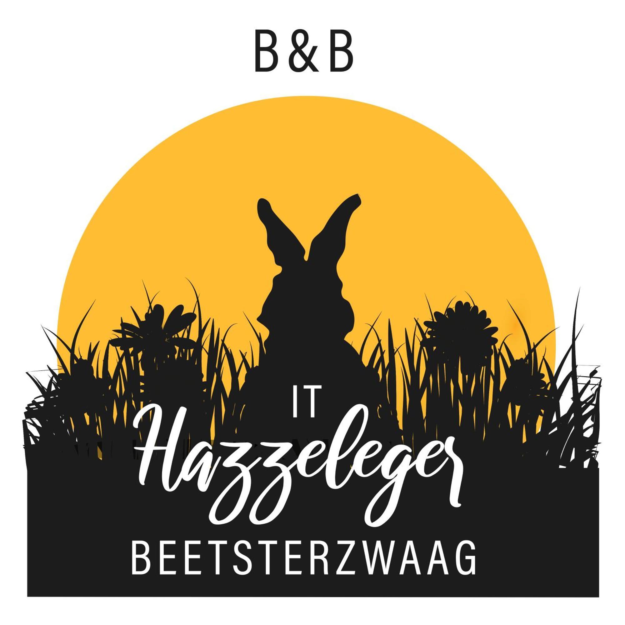 Bnb It Hazzeleger Beetsterzwaag Zimmer foto